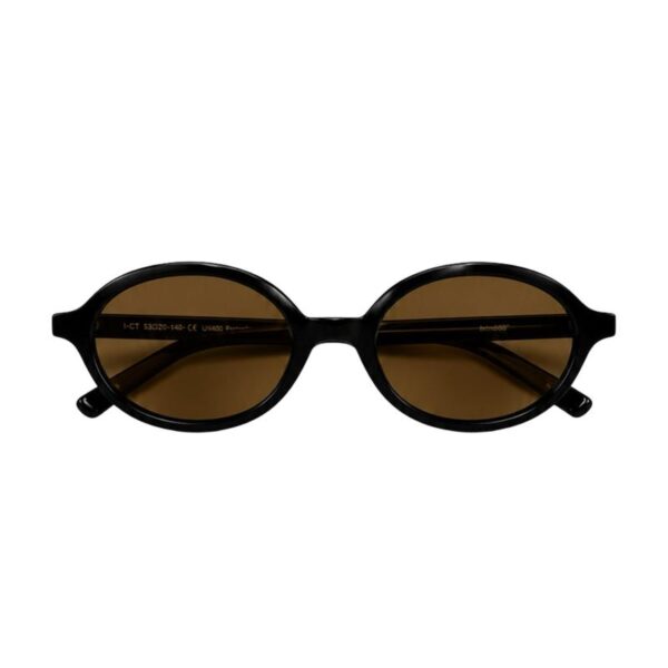 Óculos Solar Oval Hailey Preto com Lentes Marrom